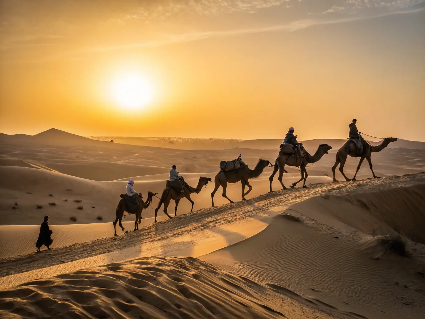 A stunning photograph of a camel caravan traversing the Erg Chebbi dunes in the Sahara Desert at sunrise, with golden light illuminating the sand.